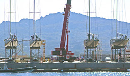 Louis Vuitton Trophy