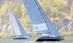 RC 44 Austria Cup
