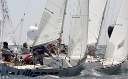 J24 in regata