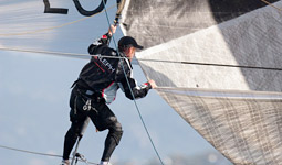 Louis Vuitton Trophy