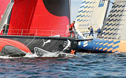 Telefonica Blue, ha vinto l'ultima In-Port Race di questa VoR