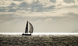 Solitaire du Figaro