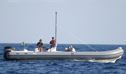 Coutts a Genova per vedere da vicino il catamarano di Alinghi
