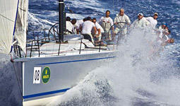 Alegre in regata