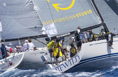 Bewild di Renzo Grottesi