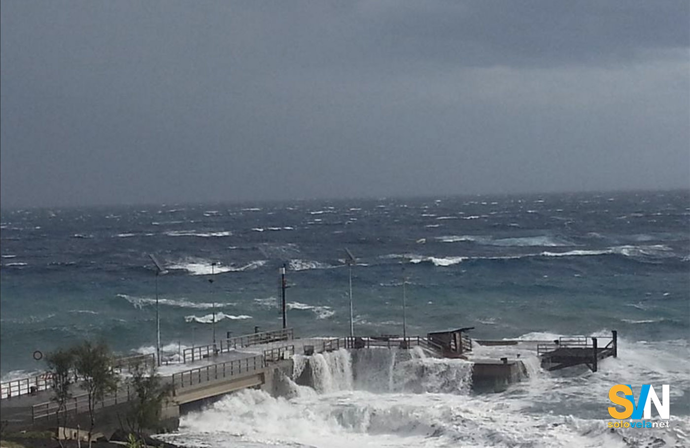 Gruppo di orche affonda una barca francese