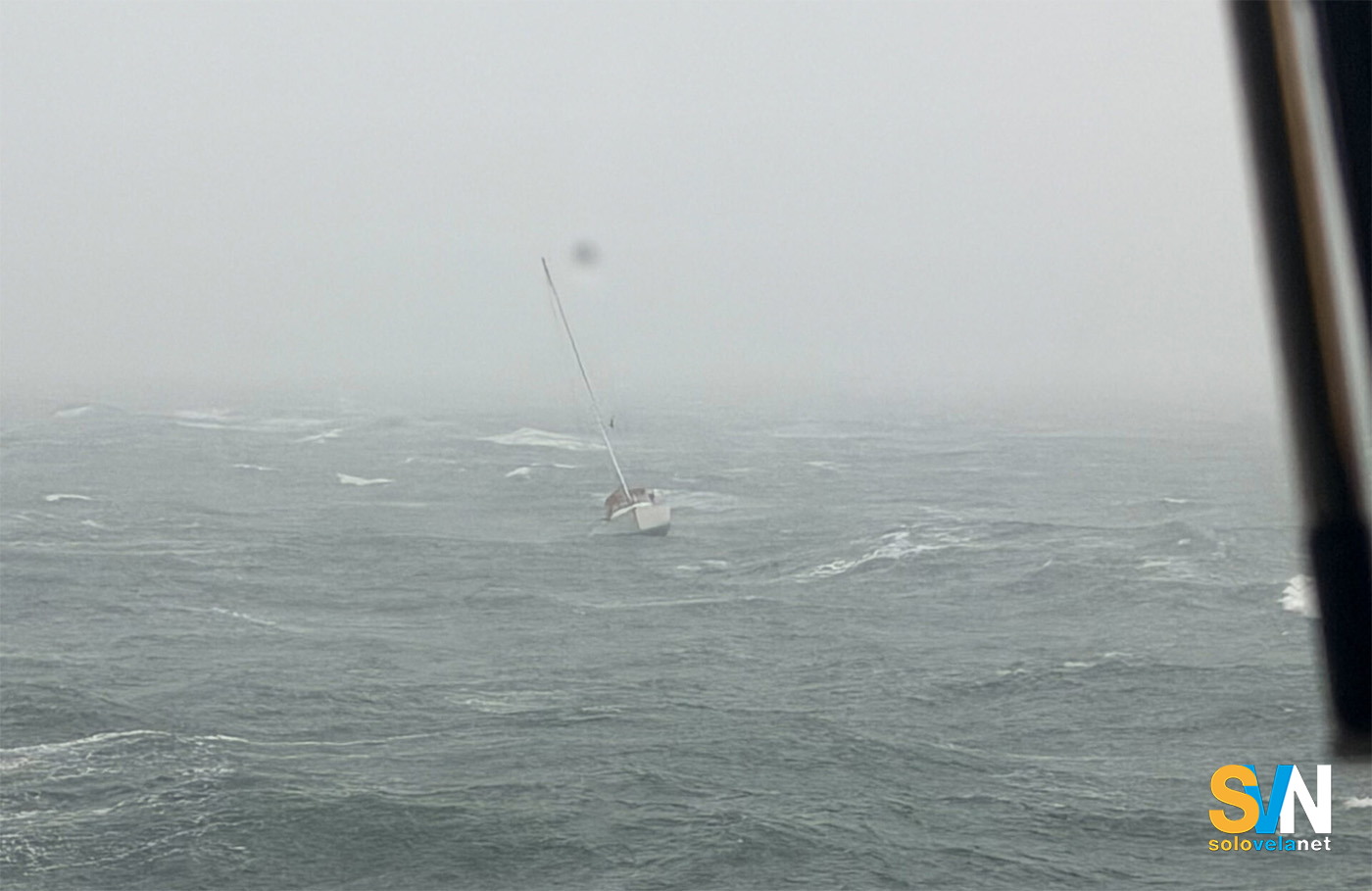 Il video sottomarino delle orche intorno al timone