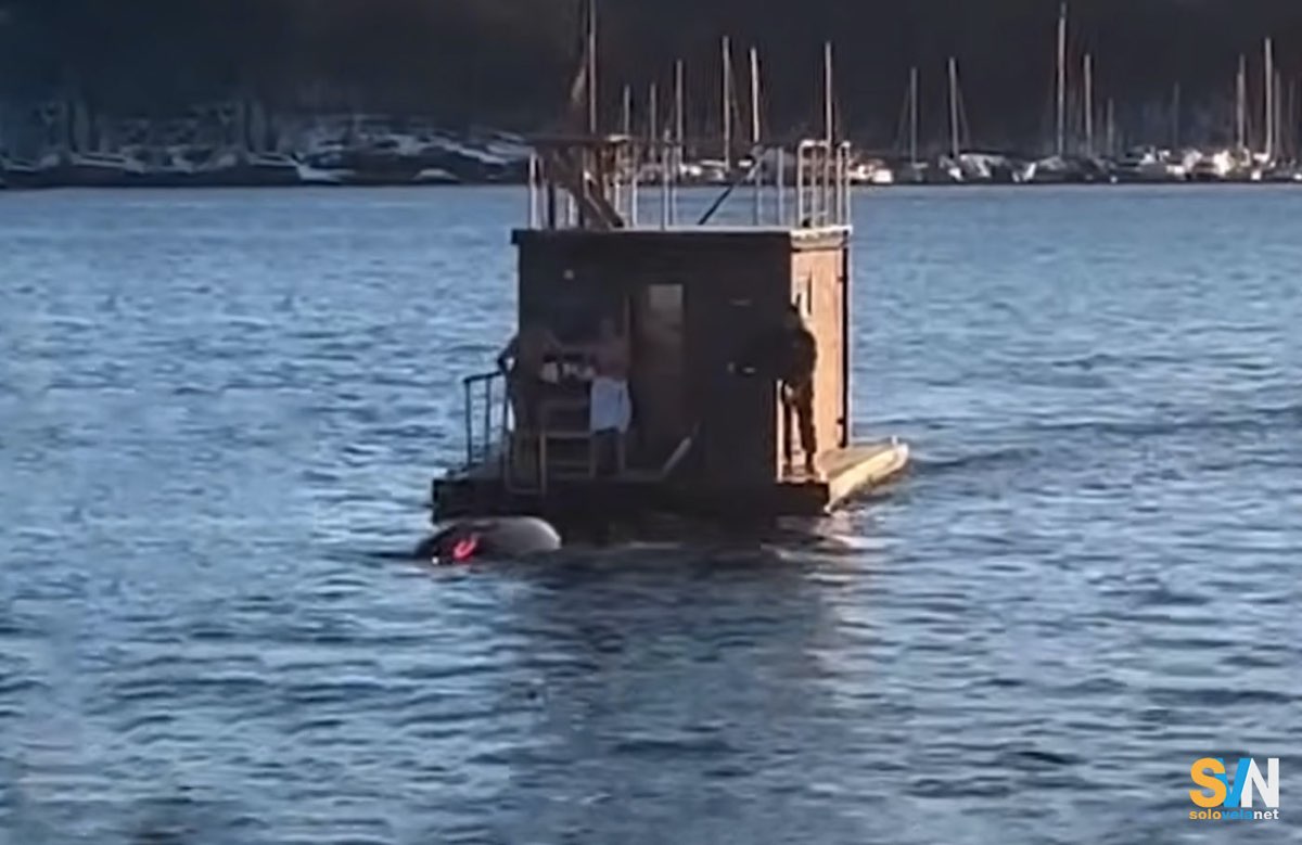 Salvati dal naufragio della loro Tesla