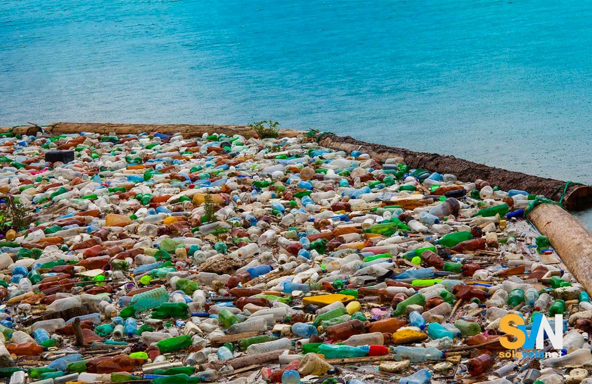 Salvare il mare: pulire i fiumi dai rifiuti plastici