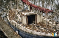 Scafi in segatura più resistenti della vetroresina: la ricerca finlandese apre nuove prospettive