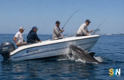 Squalo mako urta un motoscafo a Gallipoli: paura tra i diportisti, nessun ferito