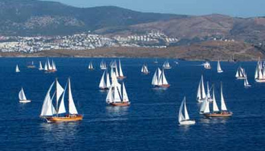 Bodrum Cup
