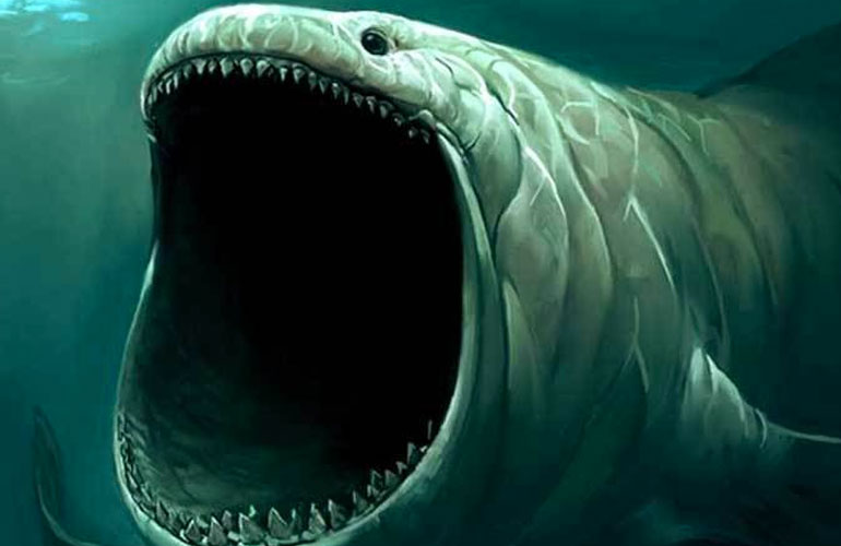 Bloop, il rumore misterioso