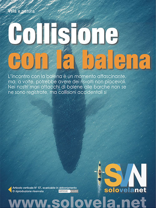 Collisione con la balena