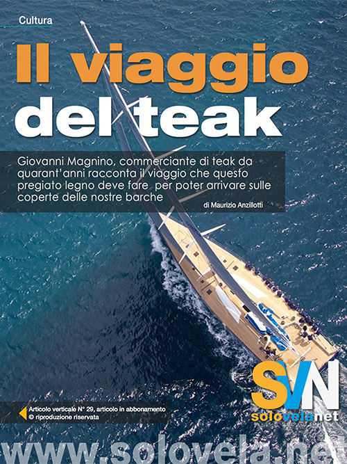 L’affascinante viaggio del teak